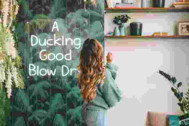 5.blow-dry-duck-and-dry