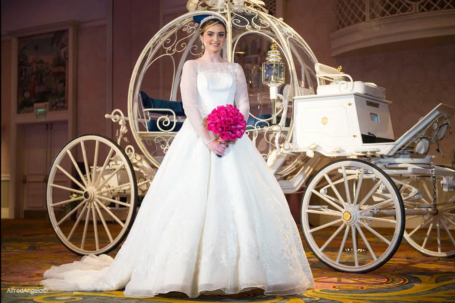 A Dream Come True: The Cinderella Weddin...